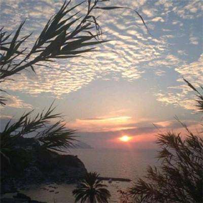 美高梅网址下载手机版