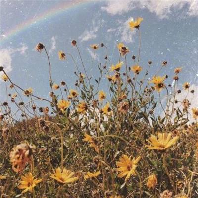 斗牛游戏大厅下载手机版