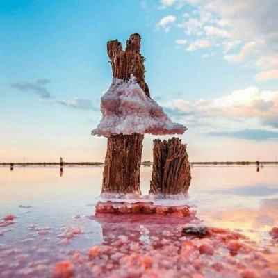 极速飞艇计划手机app下载