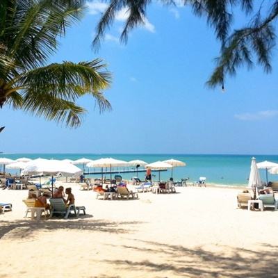 澳门4949资料免费大全下载手机版