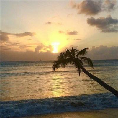 爱游戏(ayx)中国官方网站