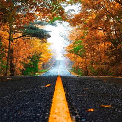 AG九游会app下载