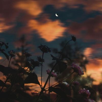 奇异果体育手机app下载