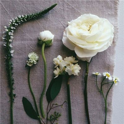 Kaiyun·开云体育下载手机版